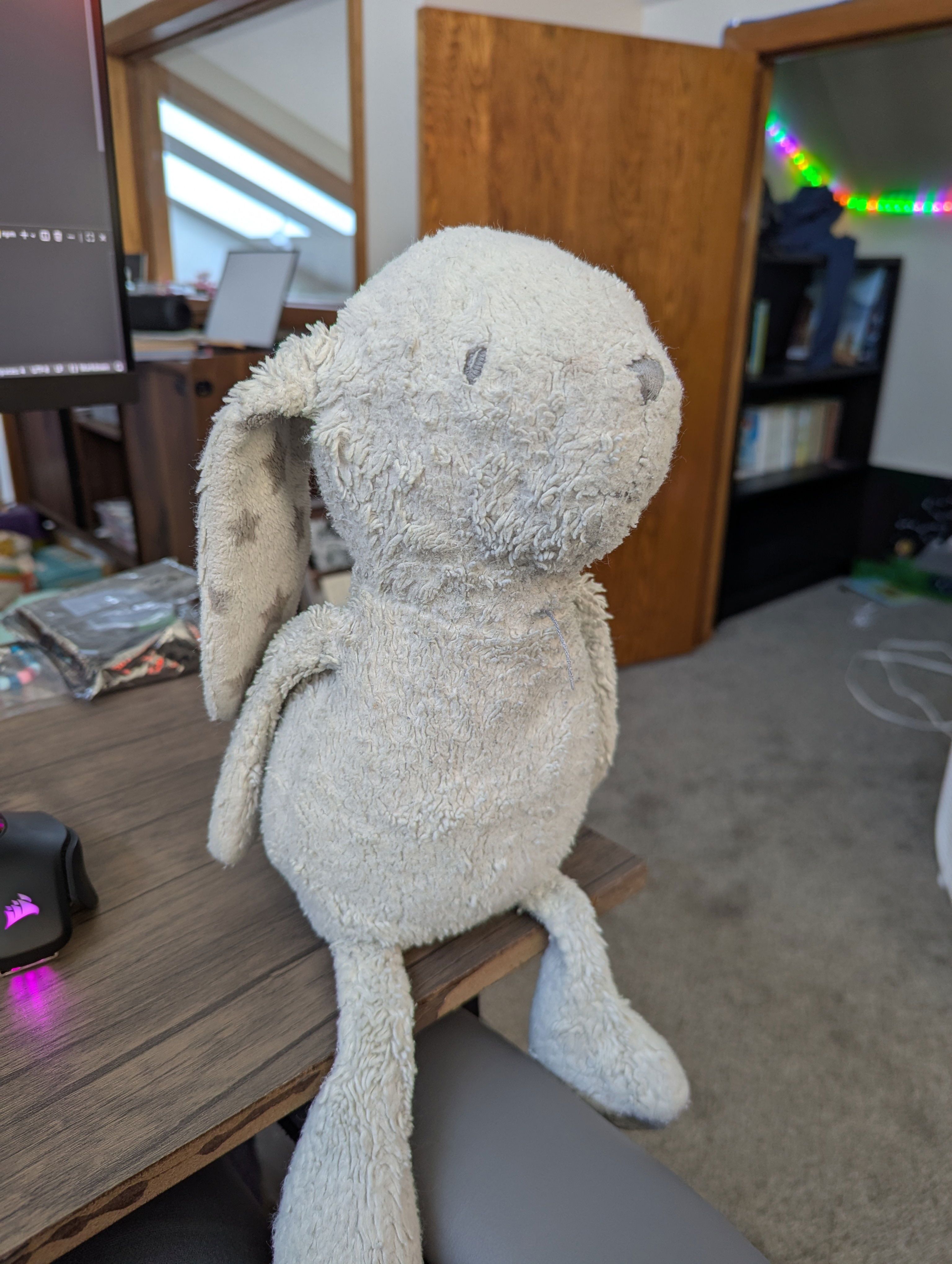 A white stuffed bunny