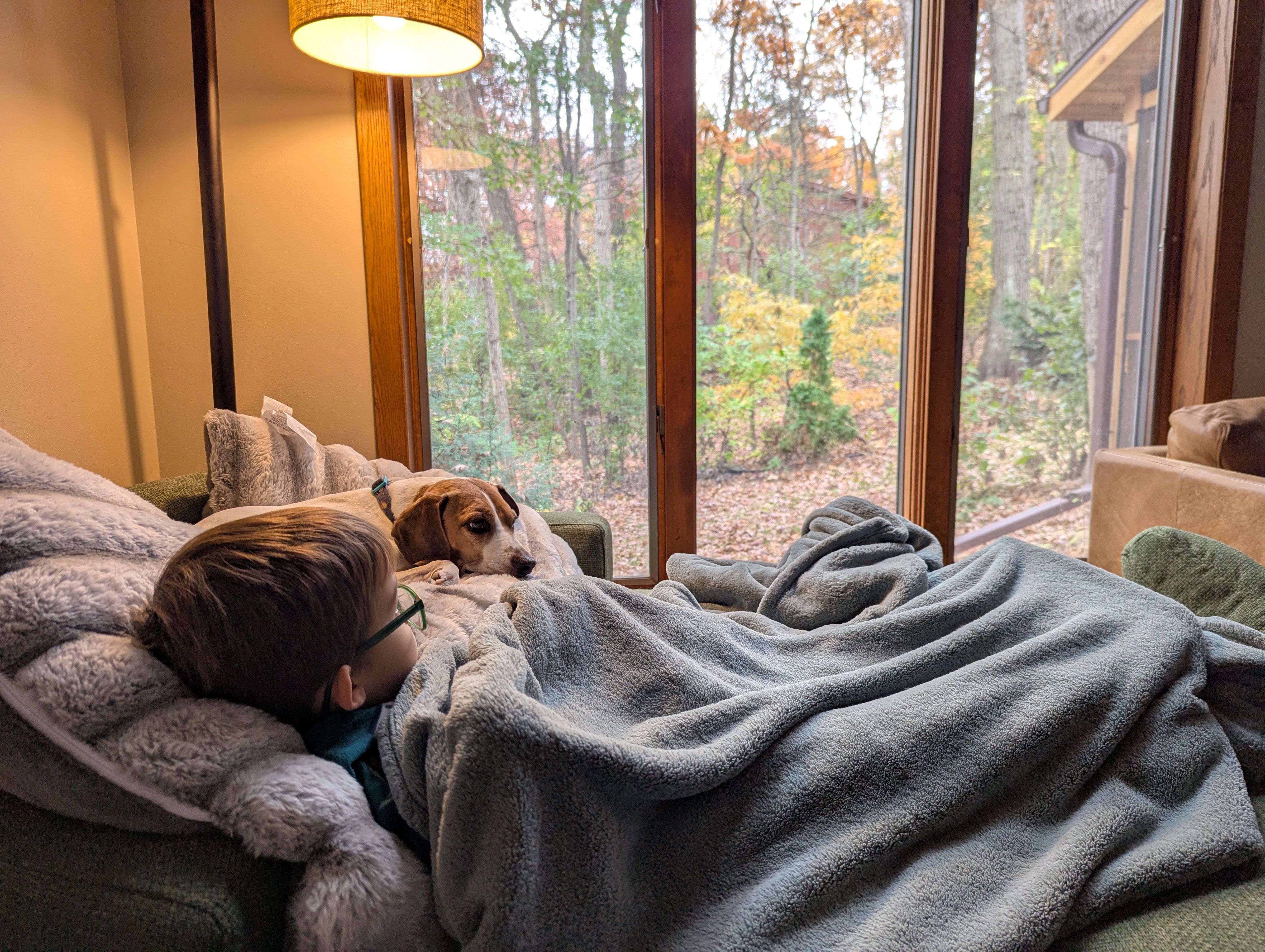 A boy and his dog looking out a window