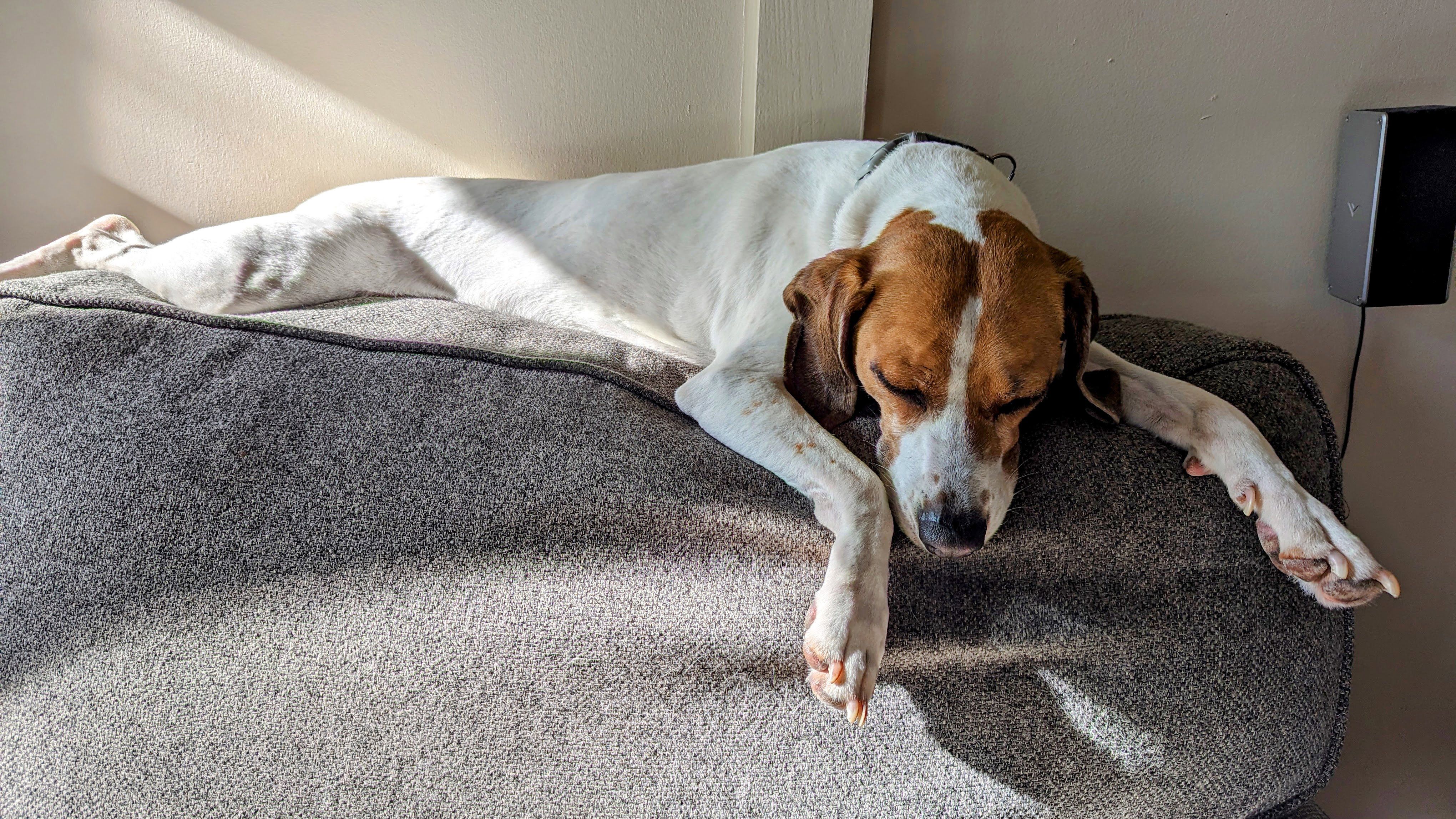 Wendy sleeping peacefully